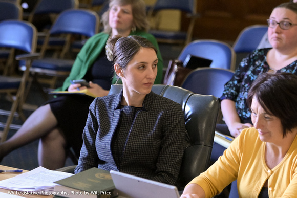 Attorney2020, Liz Schindzielorz