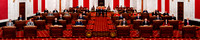 2019 Senate Panoramic Portrait