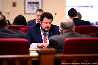 January 13, 2020 - House Gov. Org. Committee Meeting
