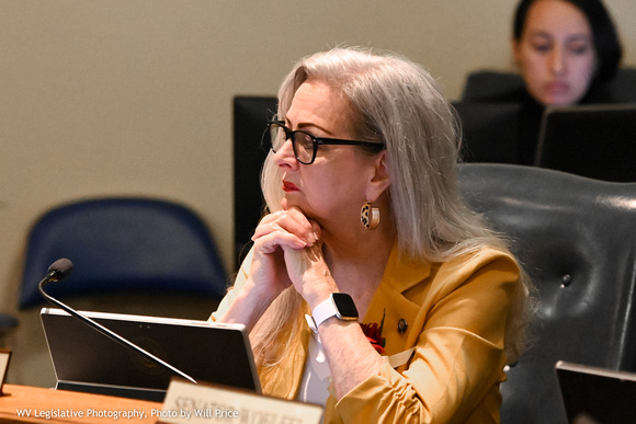Sue Cline, SCline2020
