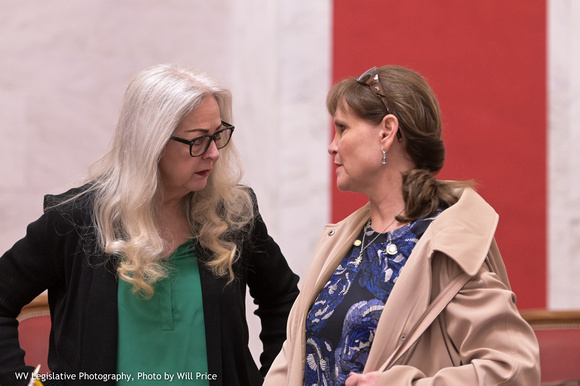 Sue Cline, Lynn Arvon, SCline2020, LArvon2020