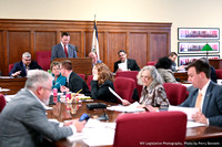 February 29, 2020 - House Health Committee